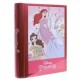 Markwins Disney Princess: Enchanting Destinations Book