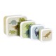 A little lovely company: Σετ 4 δοχεία φαγητού Lunch & Snack Box Dinosaurs