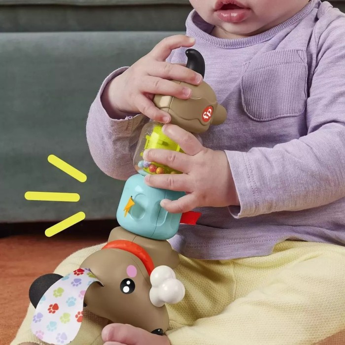 Fisher Price Click & Spin Σκυλακι Δραστηριοτητων 