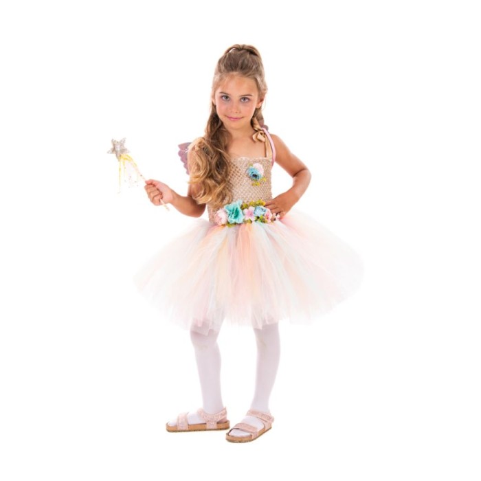 Στολή Ginger Fairy 6 ετών