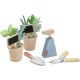 Fisher Price Παιχνίδι Κήπου Herb Set από Ξύλο για 3+ Ετών