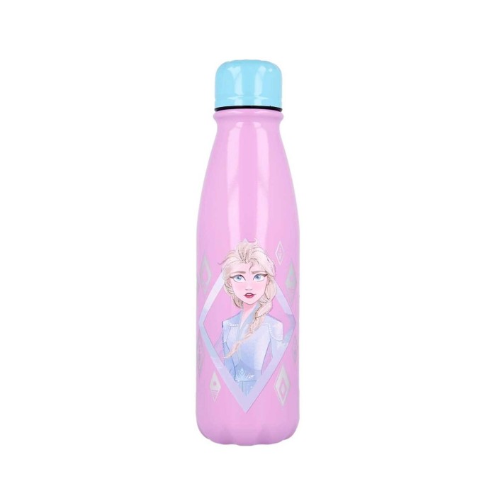 Stor Παγούρι Αλουμινίου Frozen Ii Elements Πολύχρωμο 600ml