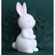 Φωτάκι νυκτός Night light: Bunny A little lovely company 