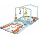 Fisher Price Γυμναστήριο Δραστηριοτήτων Σπιτάκι Πολύχρωμο 