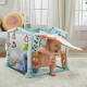 Fisher Price Γυμναστήριο Δραστηριοτήτων Σπιτάκι Πολύχρωμο 