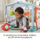 Fisher Price Γυμναστήριο Δραστηριοτήτων Σπιτάκι Πολύχρωμο 