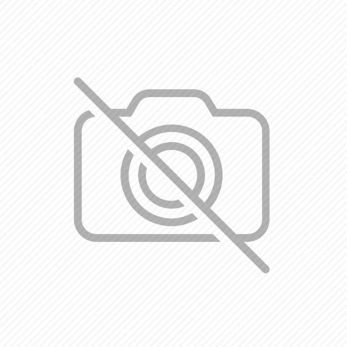 Βραδύπους, ο Χορευταρούλης με Μουσική για 9+ Μηνών